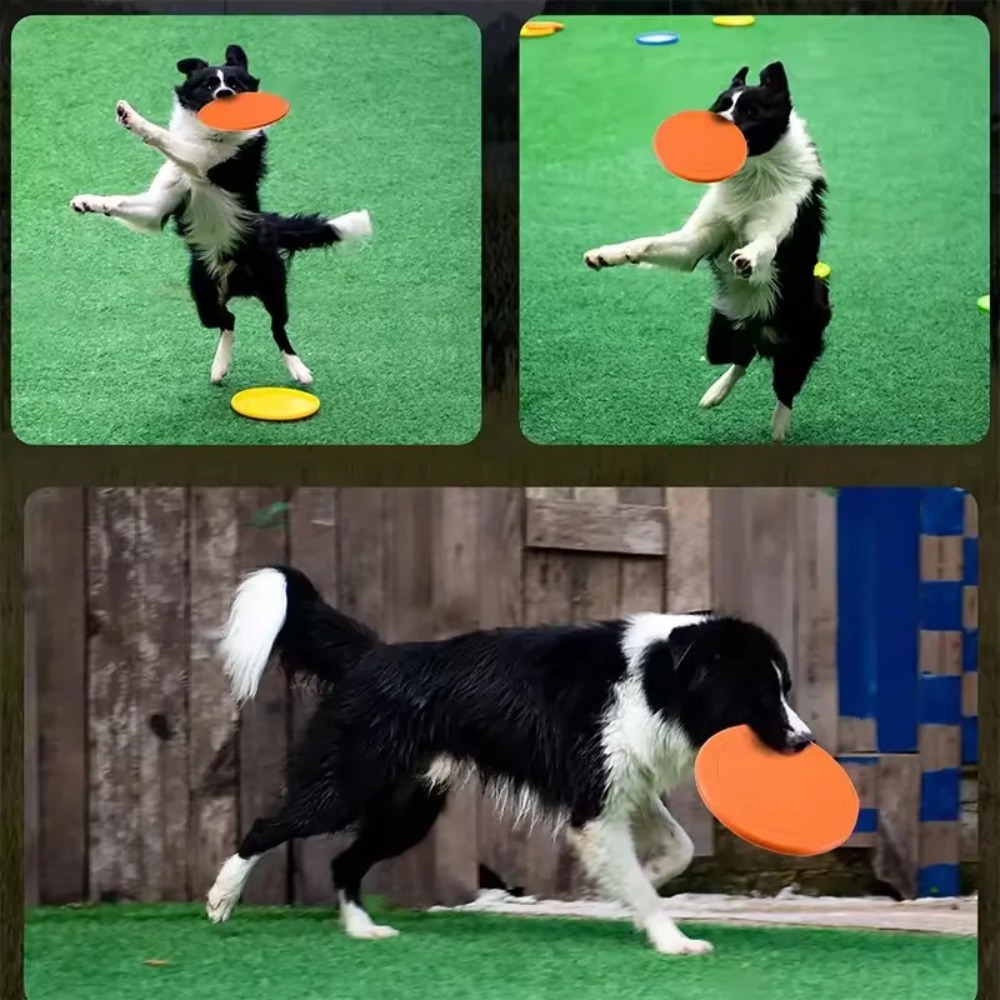 Flying Disc Dog Training Toy - Летающий диск для собак из TPR: