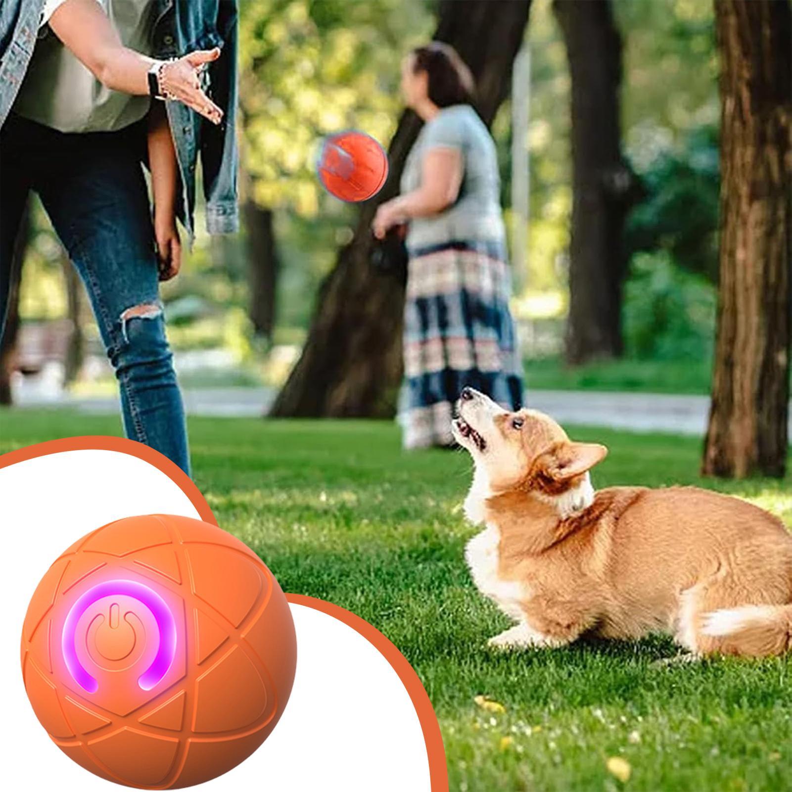 Automatic Moving Dog Ball - Умные интерактивные игрушки для собак для