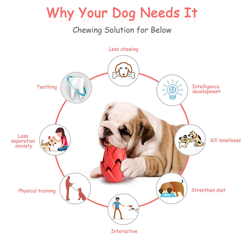 Benepaw, неразрушаемая питая с – обзор и цена Indestructible Dog Chew Toy