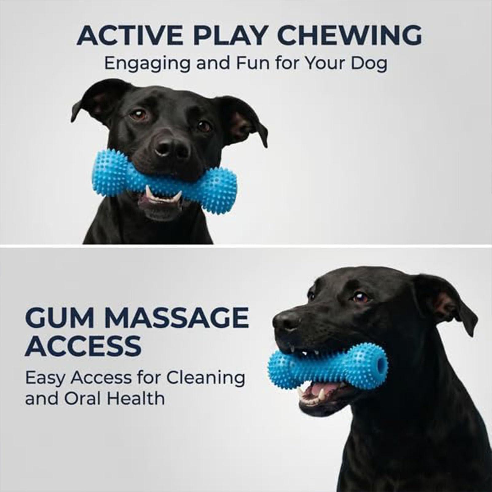 Игрушки для чистки зубов собак – обзор и цена Rubber Treat Dispensing Dog Toy