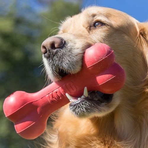 Классическая прочная игрушка-к – обзор и цена Rubber Treat Dispensing Dog Toy