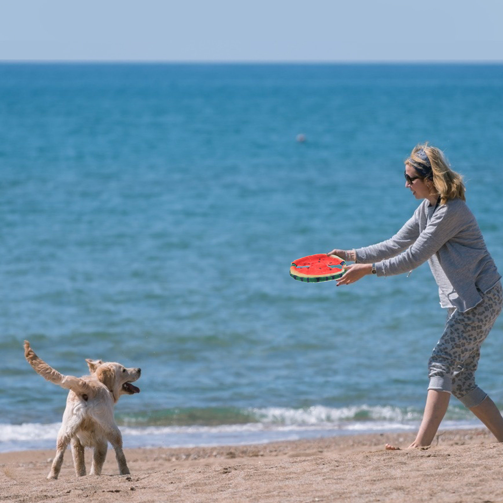 Летающий диск для собак в форм – обзор и цена Flying Disc Dog Training Toy