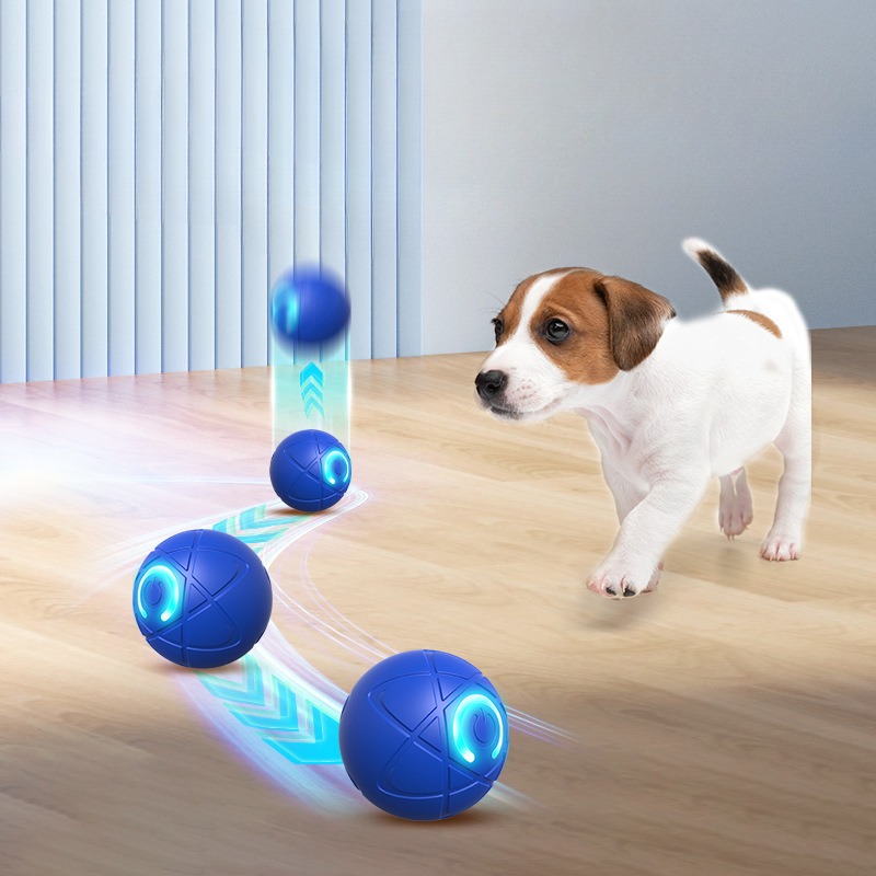 Умный игрушечный мяч для собак – обзор и цена Automatic Moving Dog Ball