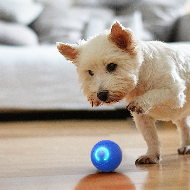 Умный игрушечный мяч для собак – обзор и цена Automatic Moving Dog Ball