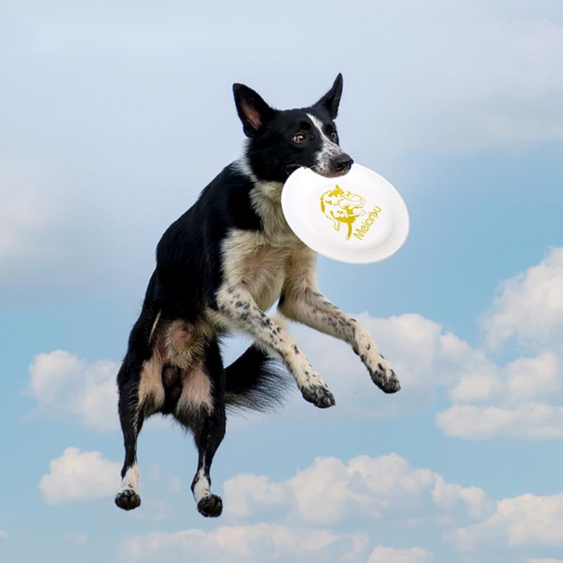 OUZEY, защита от укусов для до – обзор и цена Flying Disc Dog Training Toy