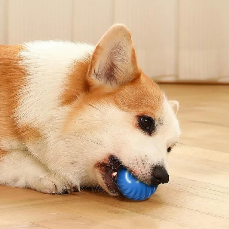 @1G-Игрушка для собак в виде м – обзор и цена Automatic Moving Dog Ball