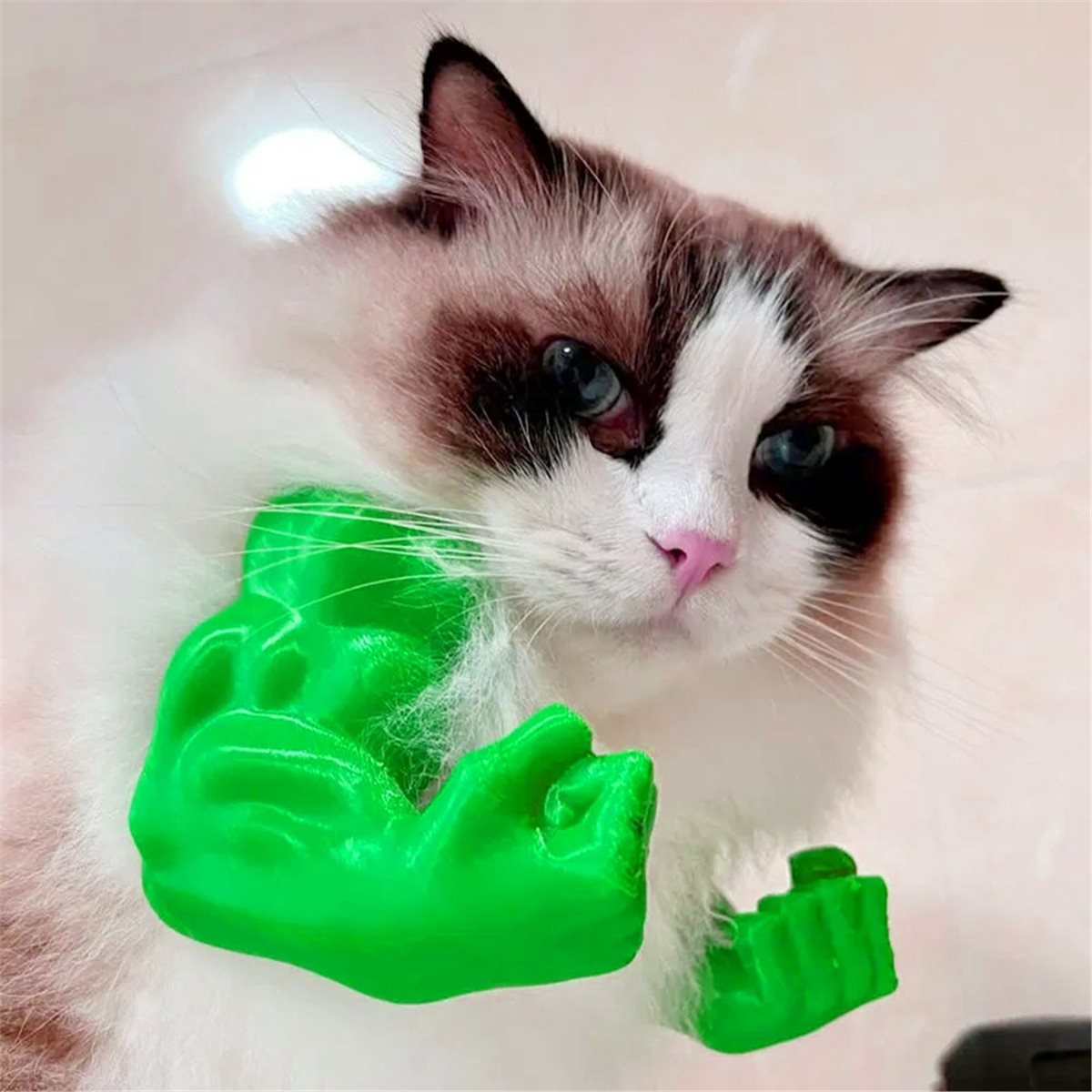 Новый кулон-мускулистая рука д – обзор и цена Cat Toys