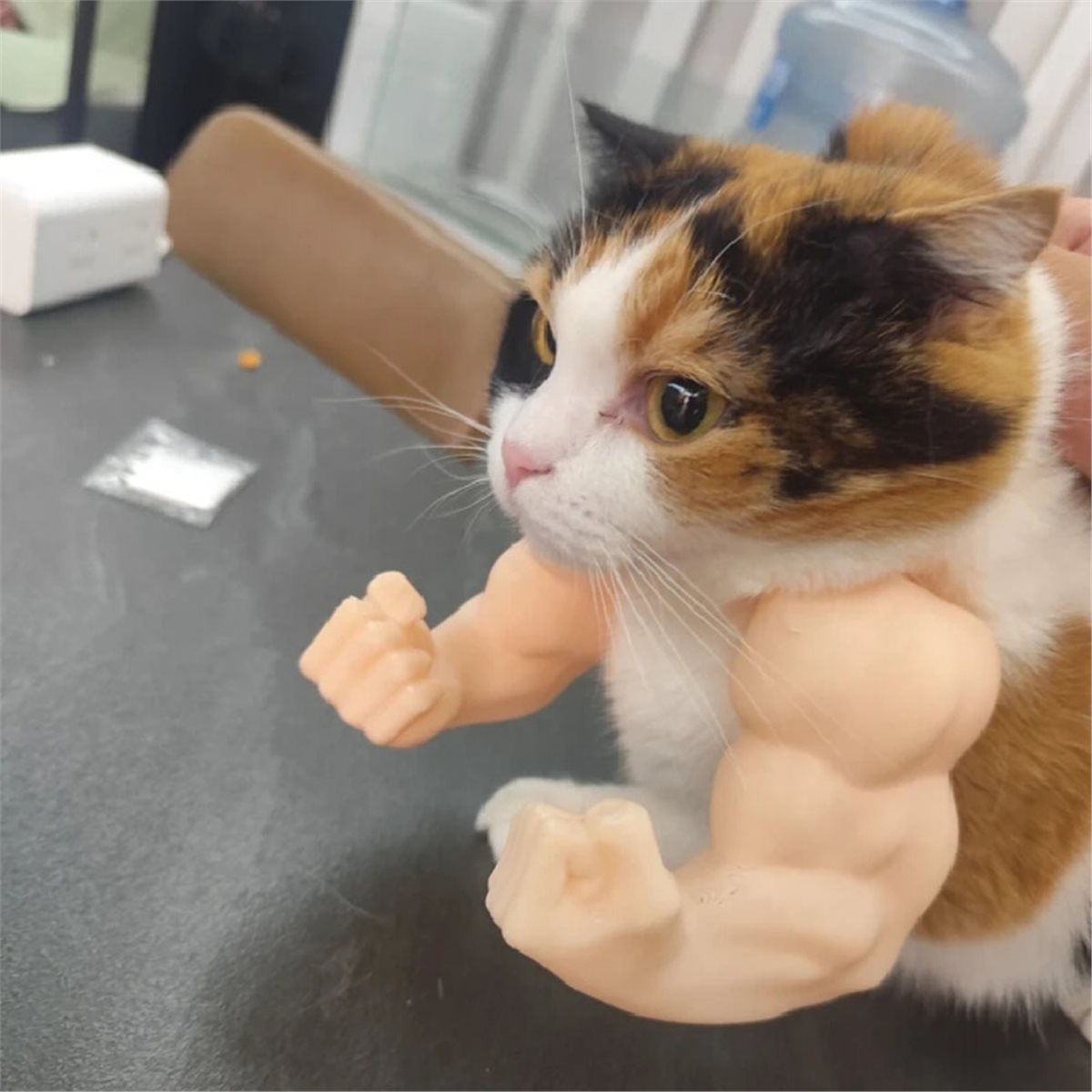 Новый кулон-мускулистая рука д – обзор и цена Cat Toys